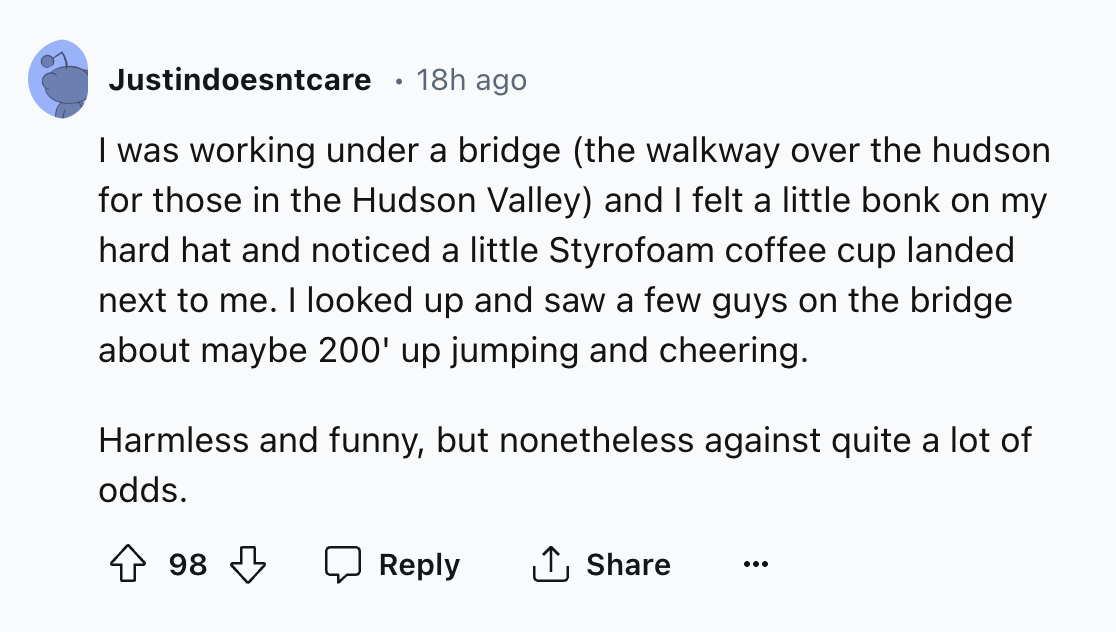 screenshot - Justindoesntcare 18h ago I was working under a bridge the walkway over the hudson for those in the Hudson Valley and I felt a little bonk on my hard hat and noticed a little Styrofoam coffee cup landed next to me. I looked up and saw a few gu